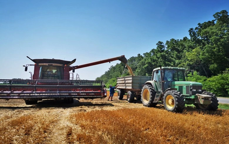 Croatia expects 17.3% drop in 2024 maize harvest