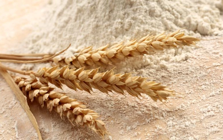 Montenegro caps wheat flour, sugar, oil, salt prices