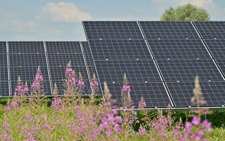 Rezolv Energy hands deals for 229 MW solar park in Bulgaria