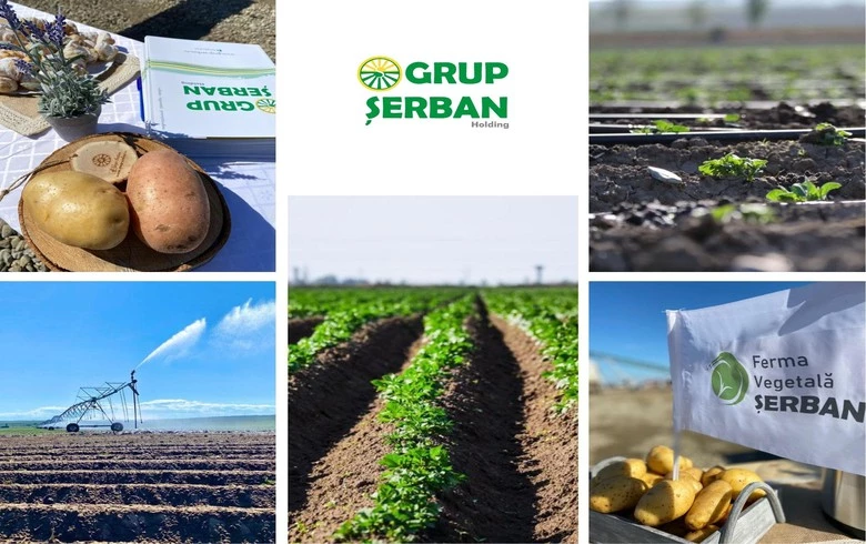 Romania’s Grup Serban Holding cons net profit up 7% y/y in 2021