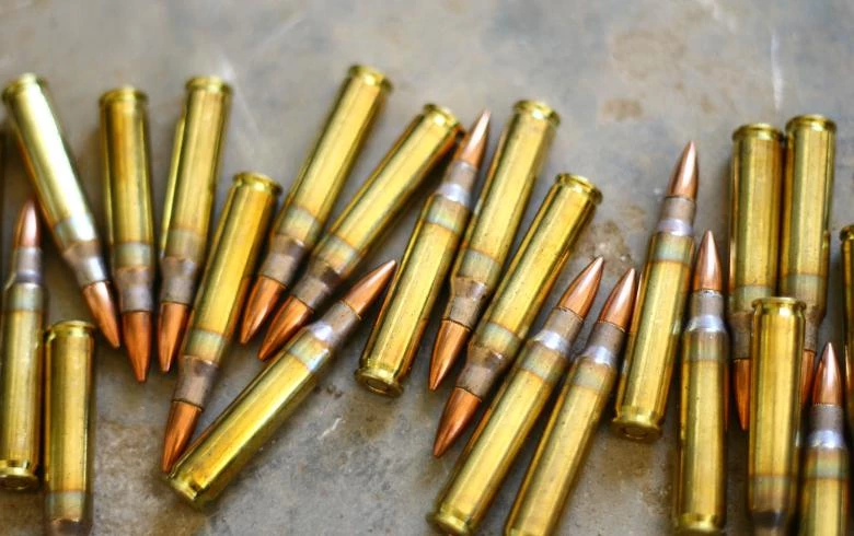 Serbian PM says 45 mln euro to be invested in Pozega area ammo plant