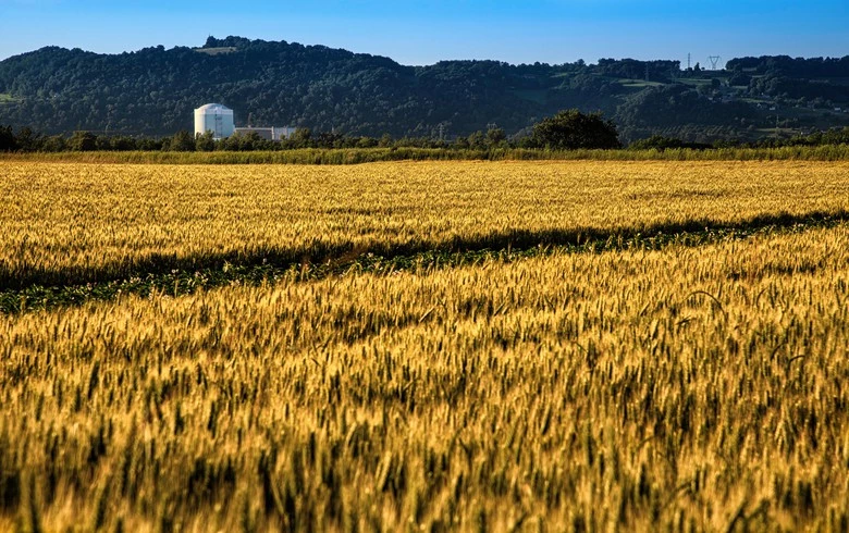 Slovenia's average arable land price up 14% in 2023