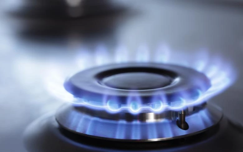 Srbijagas sees no room for gas price hike in 2016